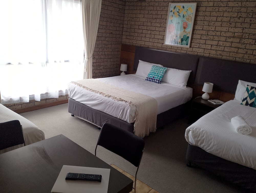 Basic Studio, Multiple Beds photo 2