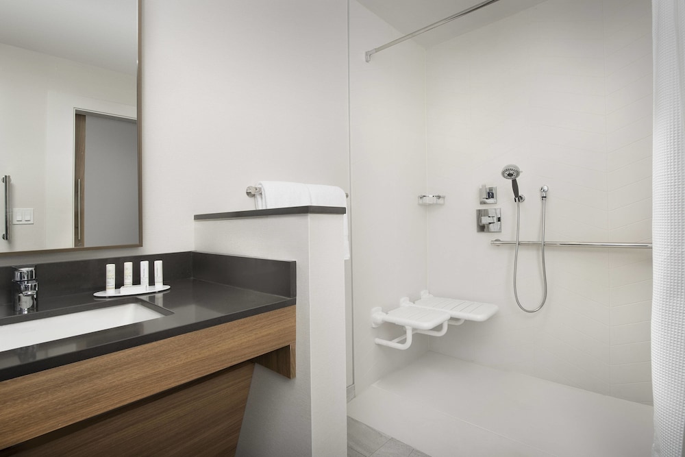 Room, 1 King Bed (Mobility/Hearing Access, Roll-In Shwr) - Photo 5