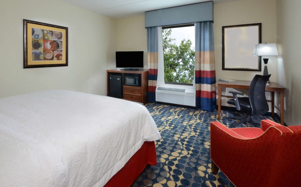 1 King Bed, Micro/Fridge, Mobility/Hearing Acc., Roll-In Shower, NS photo 2