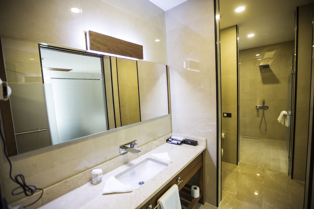 Deluxe Room photo 2
