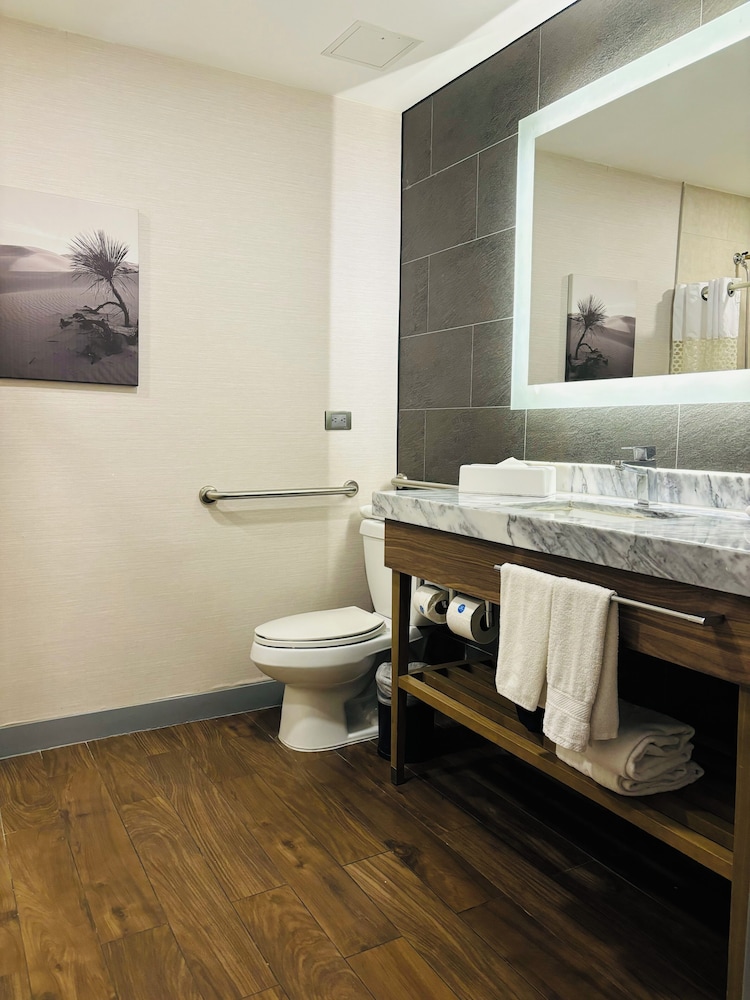 Room, 1 King Bed, Accessible, Non Smoking (Roll-In Shower) - Photo 5