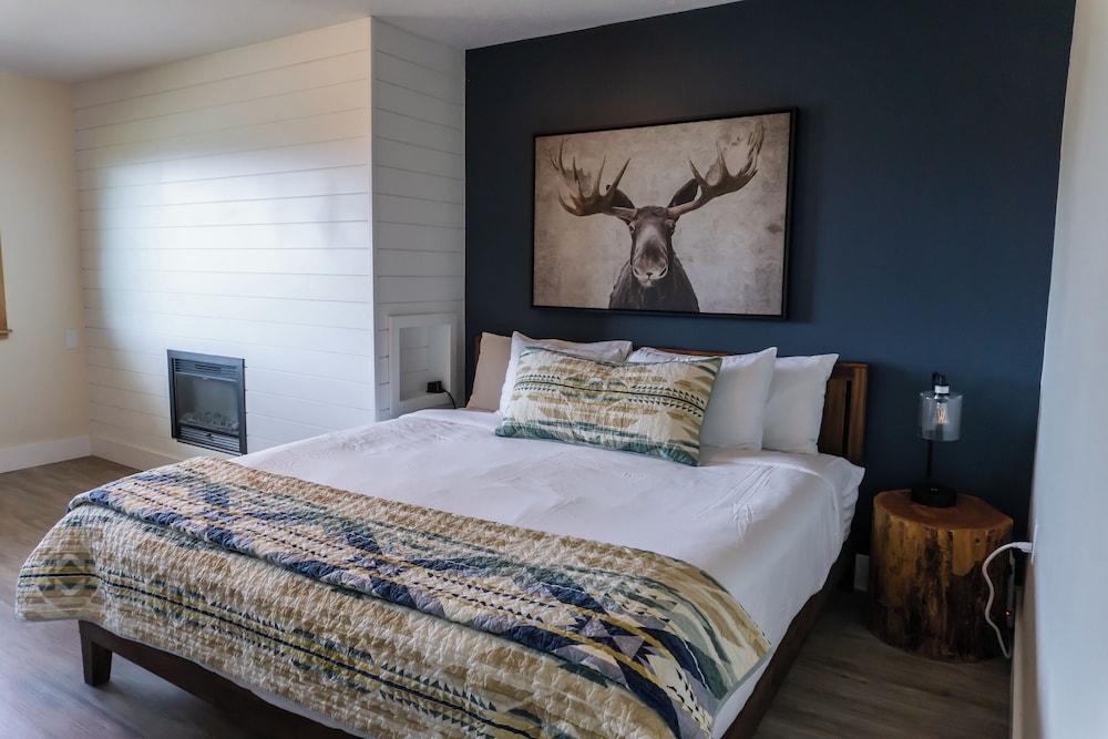 Grand Room, 1 King Bed photo 1