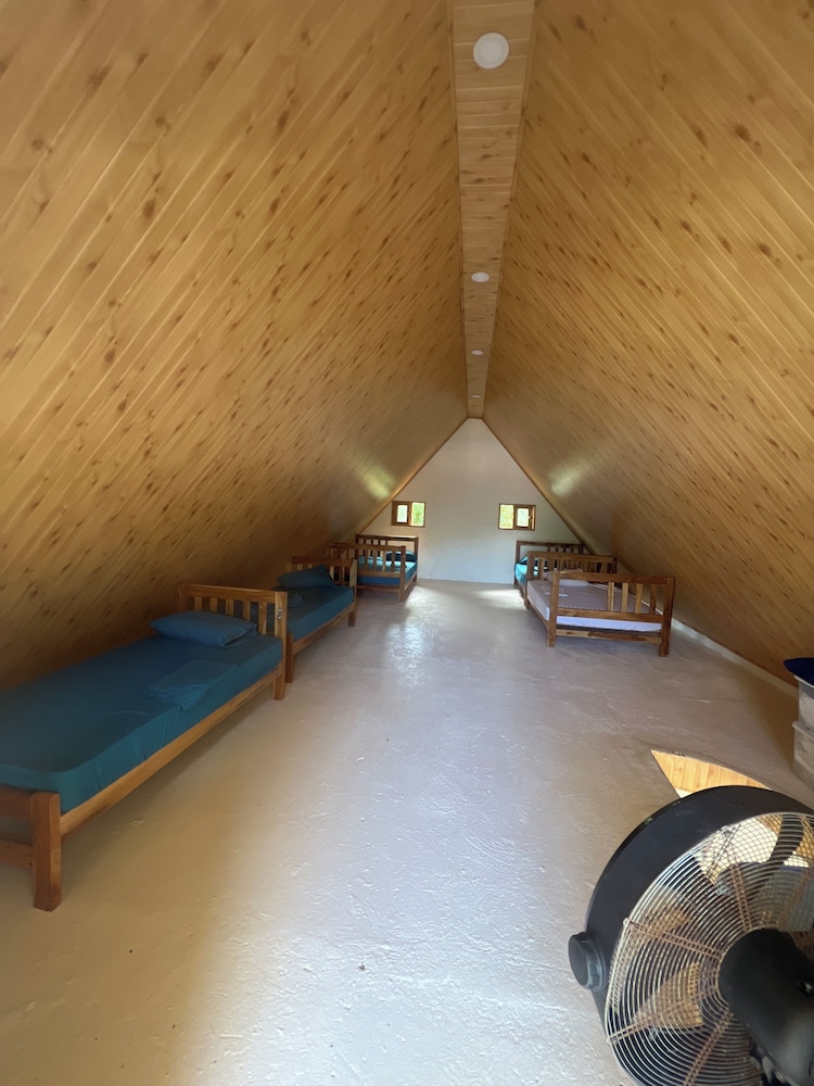 Standard Shared Dormitory photo 2