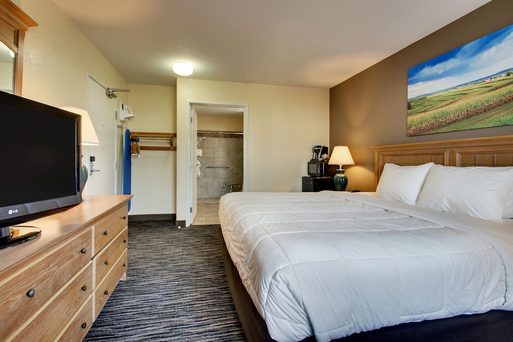Room, 1 King Bed, Accessible (Handicapped Accessible King)