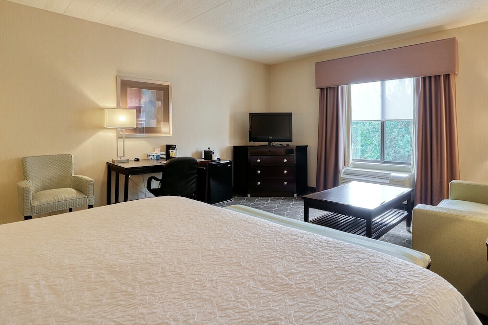 Room, 1 King Bed photo 2