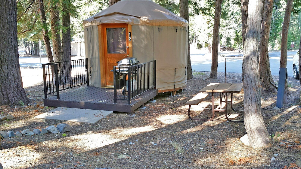 Deluxe Tent, Multiple Beds, Non Smoking, Patio (Yurt, Mini Refrigerator) photo 3