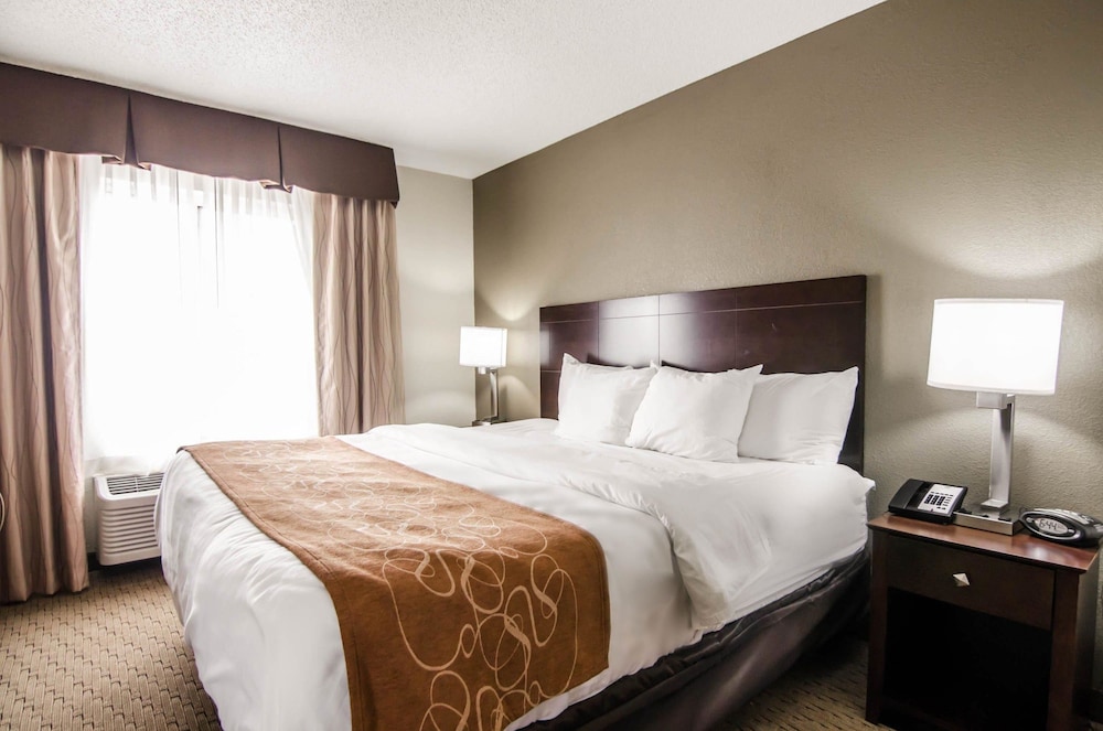 Suite, 1 King Bed, Non Smoking - Photo 8