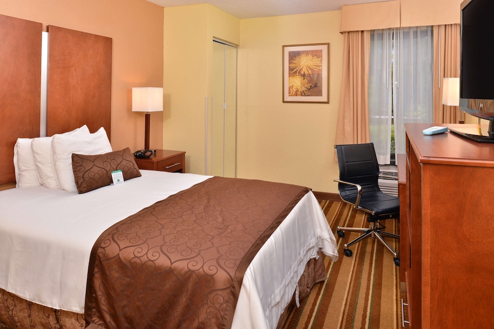 Standard Room, 1 Double Bed, Non Smoking, Refrigerator & Microwave photo 1