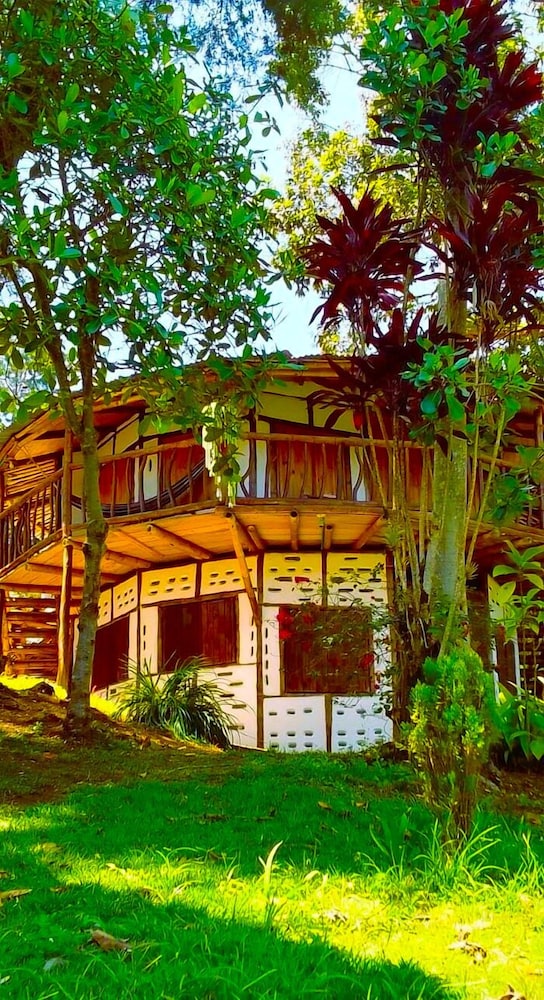 Kiosko Completo photo 3