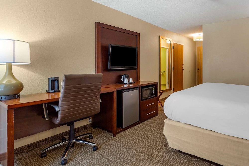 Room, 1 King Bed, Accessible, Non Smoking - Photo 4