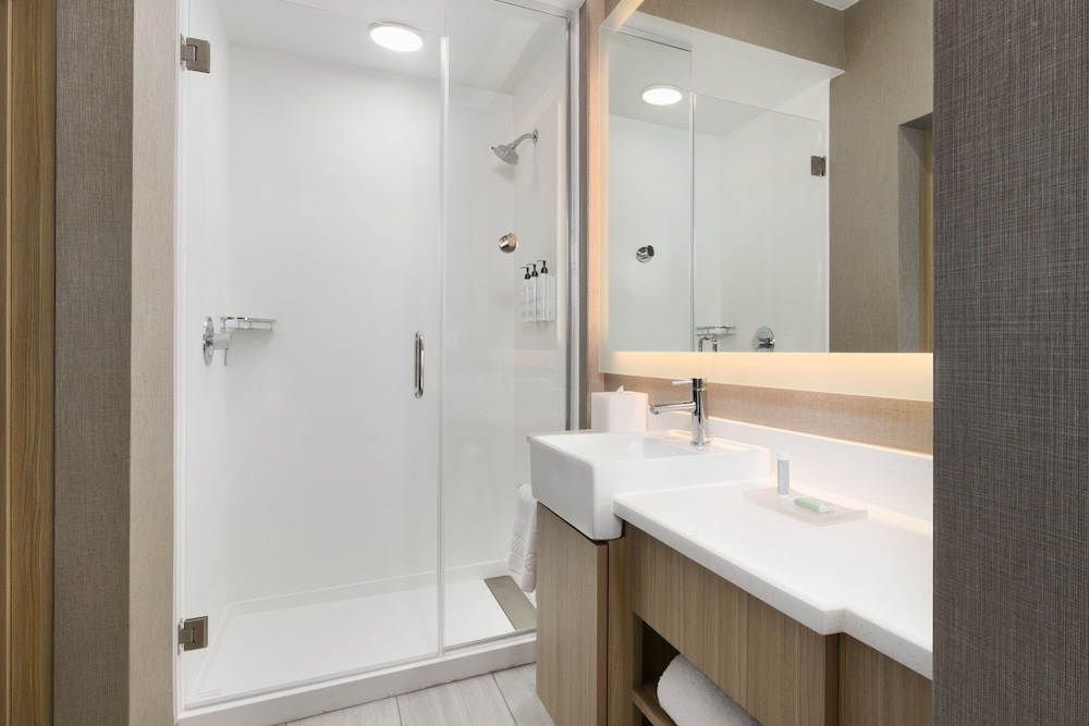 SpringHill Suites by Marriott Dothan, Photo 8