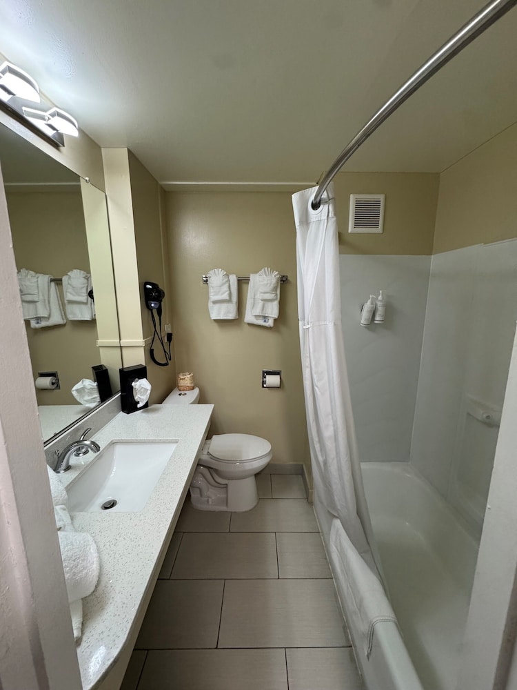 Room, Multiple Beds, Non Smoking photo 3