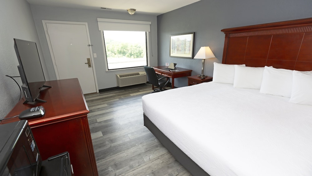 Room, 1 King Bed, Accessible, Non Smoking photo 3