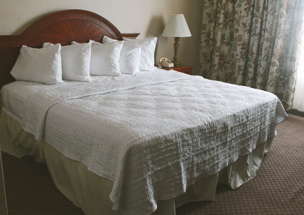 Standard Single Room, 1 King Bed, City View