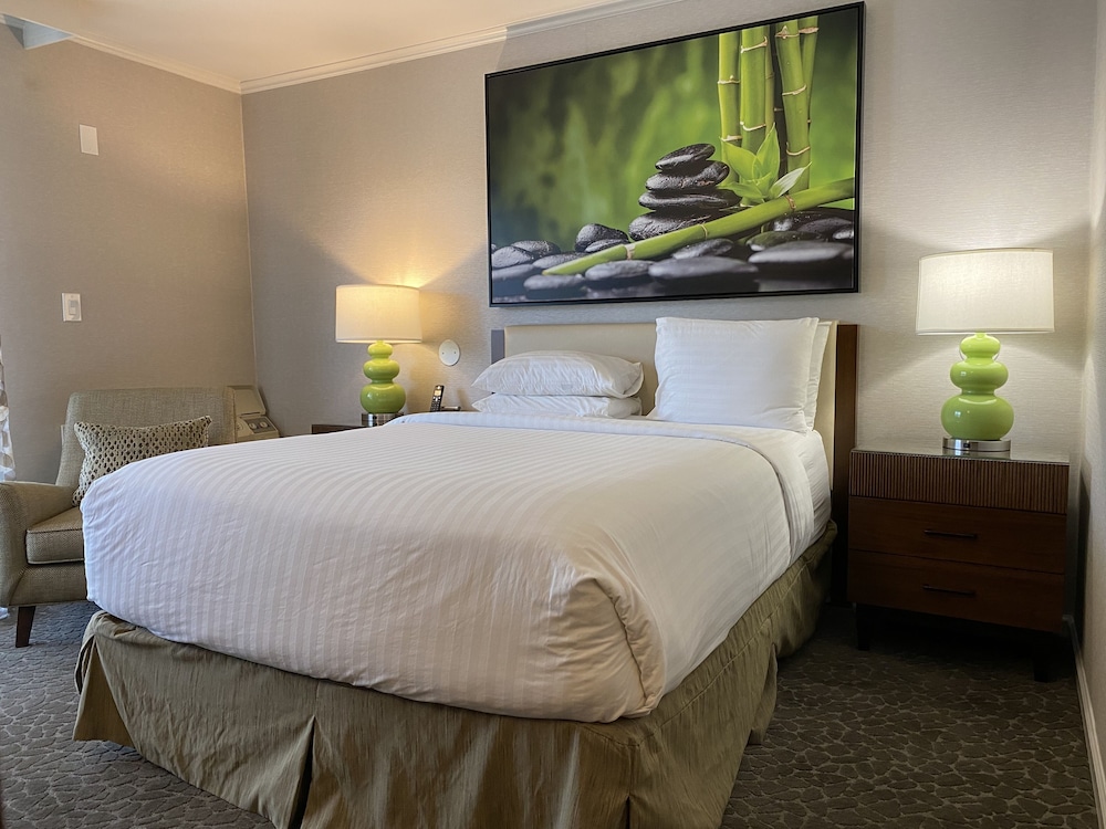 Basic Room, 1 King Bed, Patio - Photo 2
