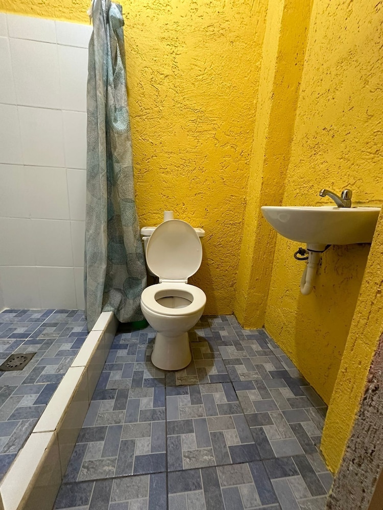 Basic Shared Dormitory photo 2