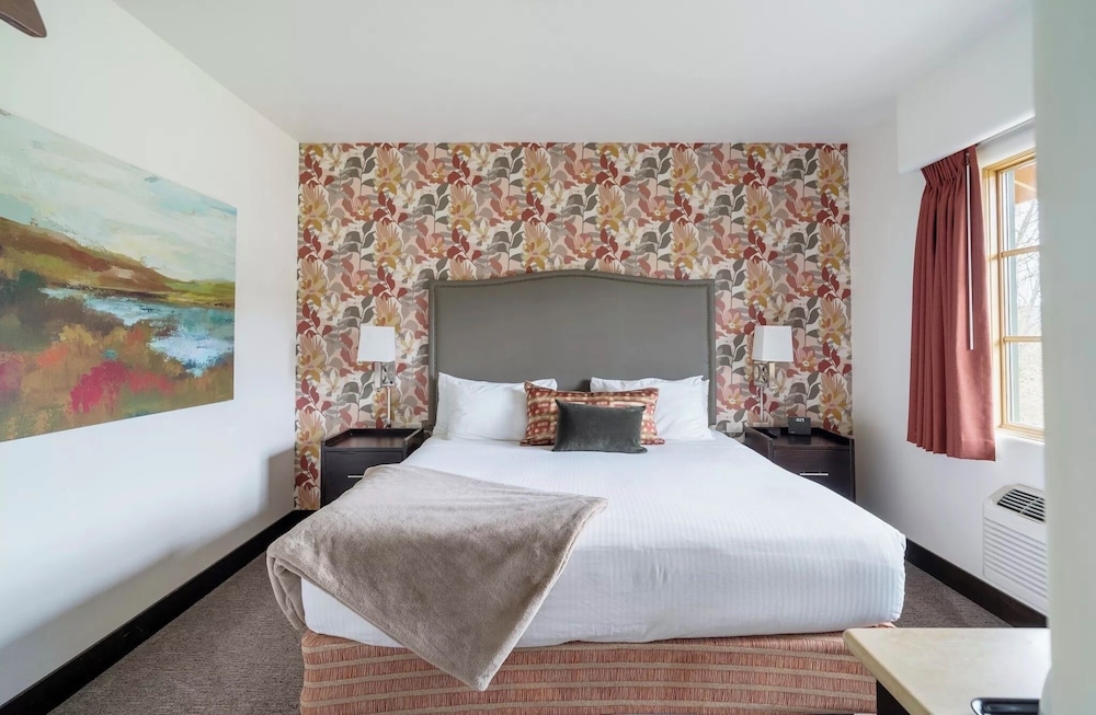 Euro King Room photo 1