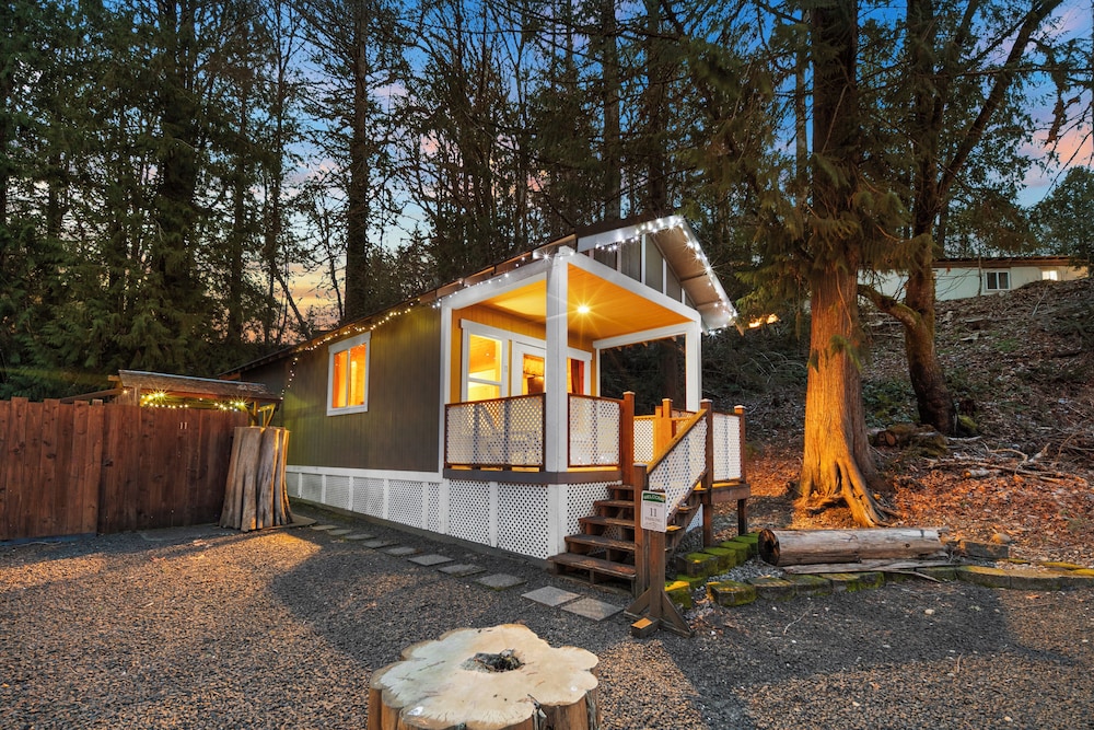 Cabin 11