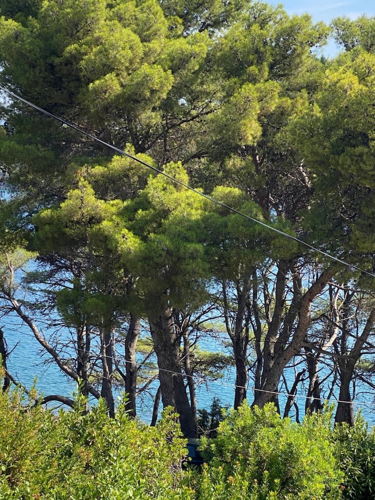 Apartment (Dari - 120 M From Sea - A1(2+2)) photo 3