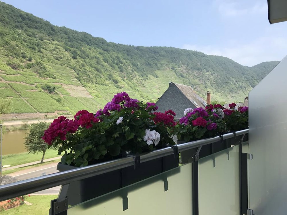 Weinbergs Loge, Kuva 6