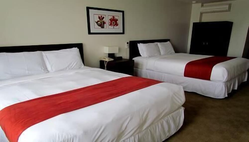 Standard Room, 2 Double Beds photo 1