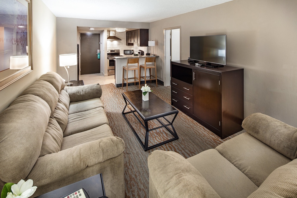 Suite, 1 Bedroom, Kitchen - Photo 6