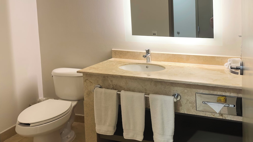 Standard Room, 1 King Bed, Accessible