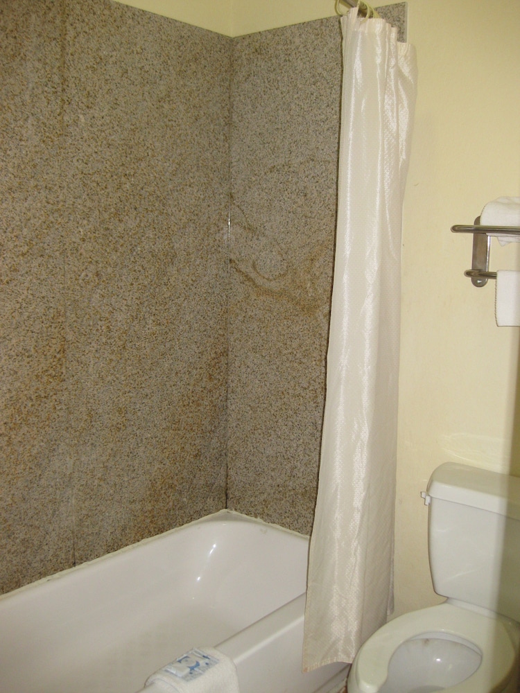 Executive Double Room, 2 Double Beds, Kitchenette photo 2