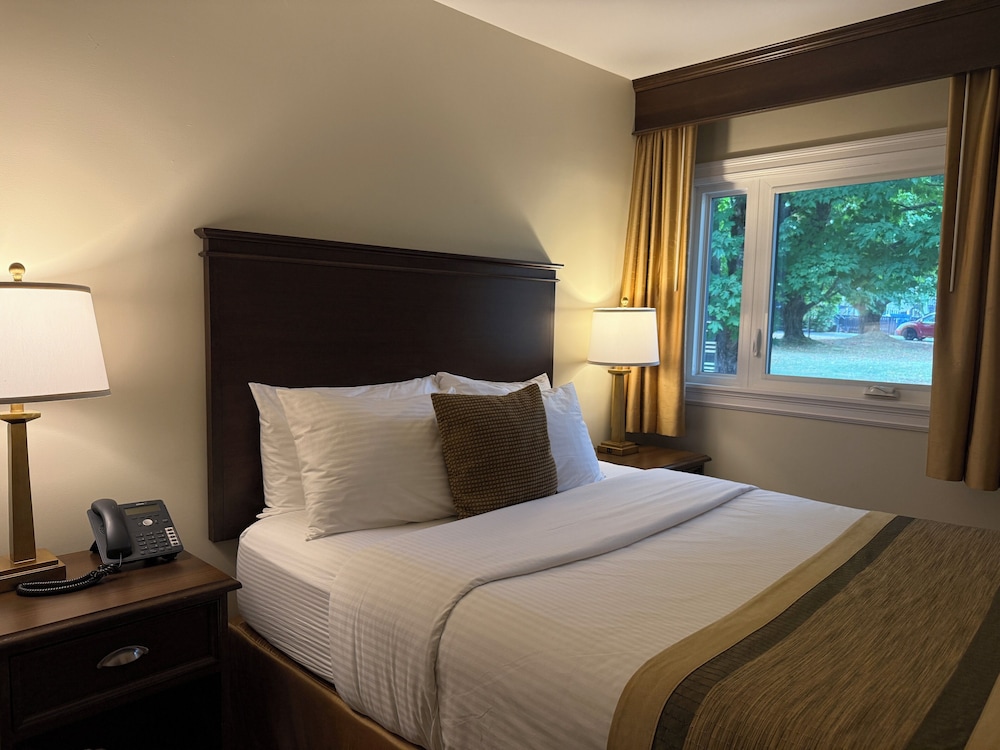 Superior Suite, 1 Queen Bed photo 1