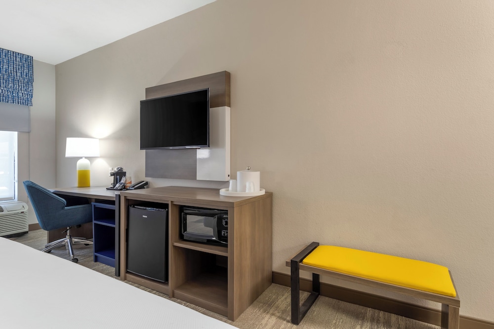 Room, 1 King Bed, Accessible, Non Smoking photo 3