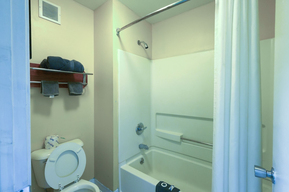Room, 1 King Bed, Accessible photo 3