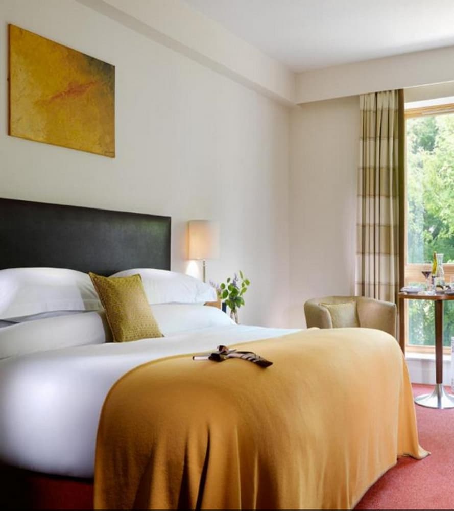 Deluxe Double Room Single Use