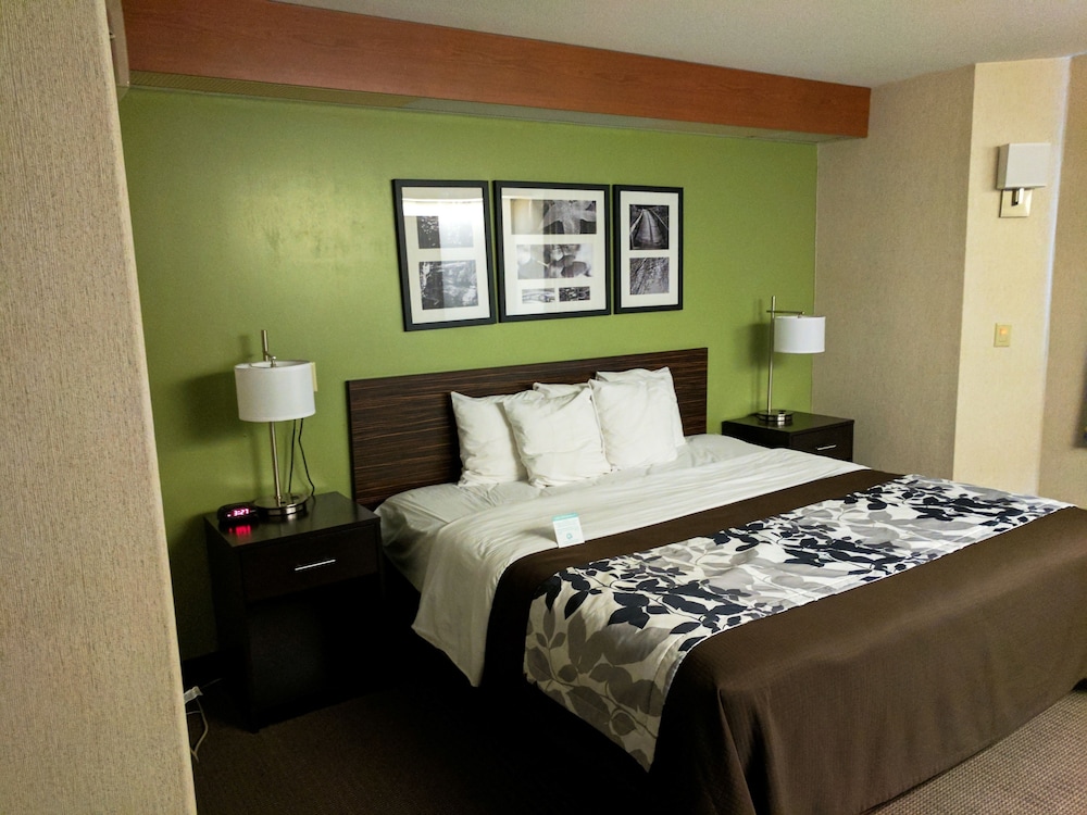 Room, 1 King Bed, Accessible, Non Smoking - Photo 1
