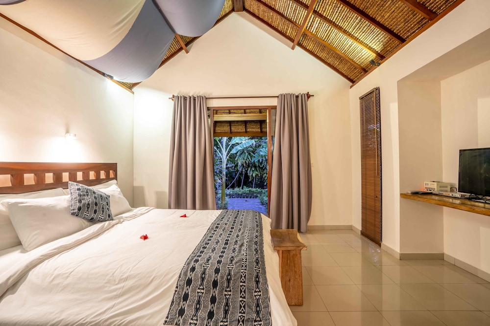 Deluxe Double or Twin Room photo 2