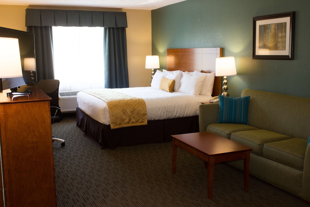 Standard Room, 1 King Bed, Non Smoking, Kitchenette (with Sofabed) - Photo 1