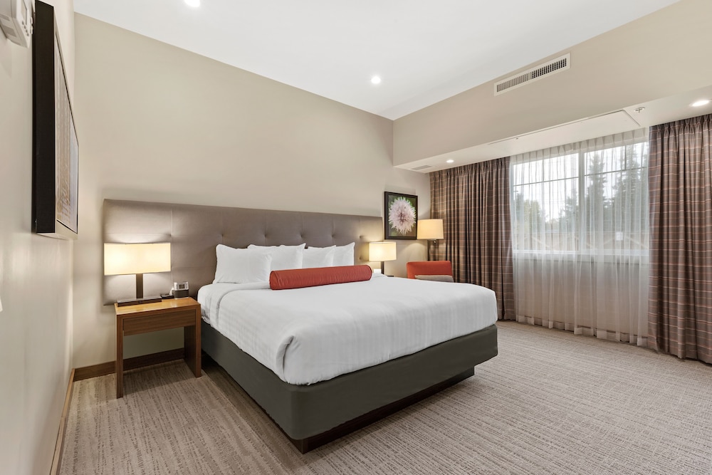 Standard Room, 1 King Bed, Accessible, Bathtub photo 1
