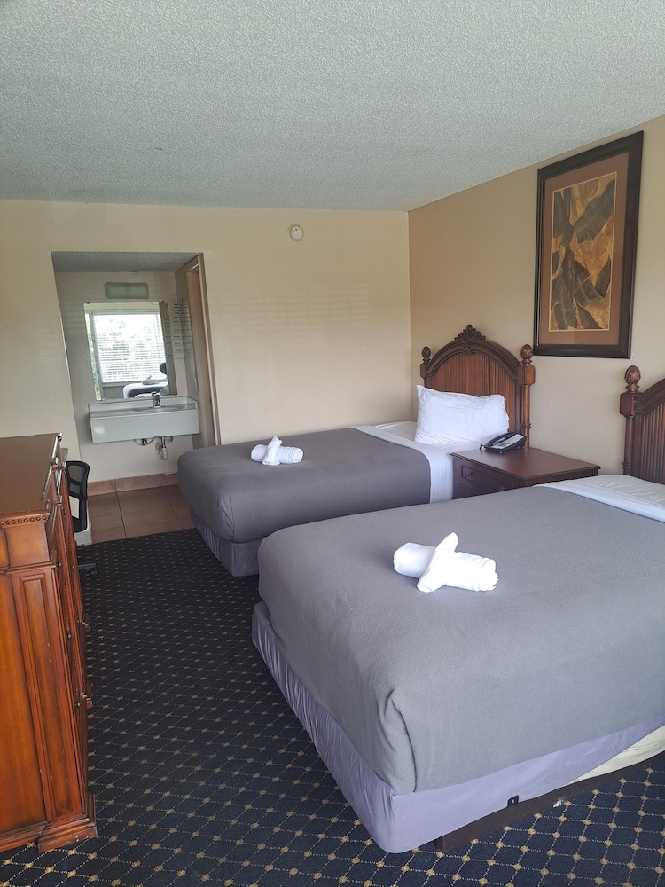 Basic Room