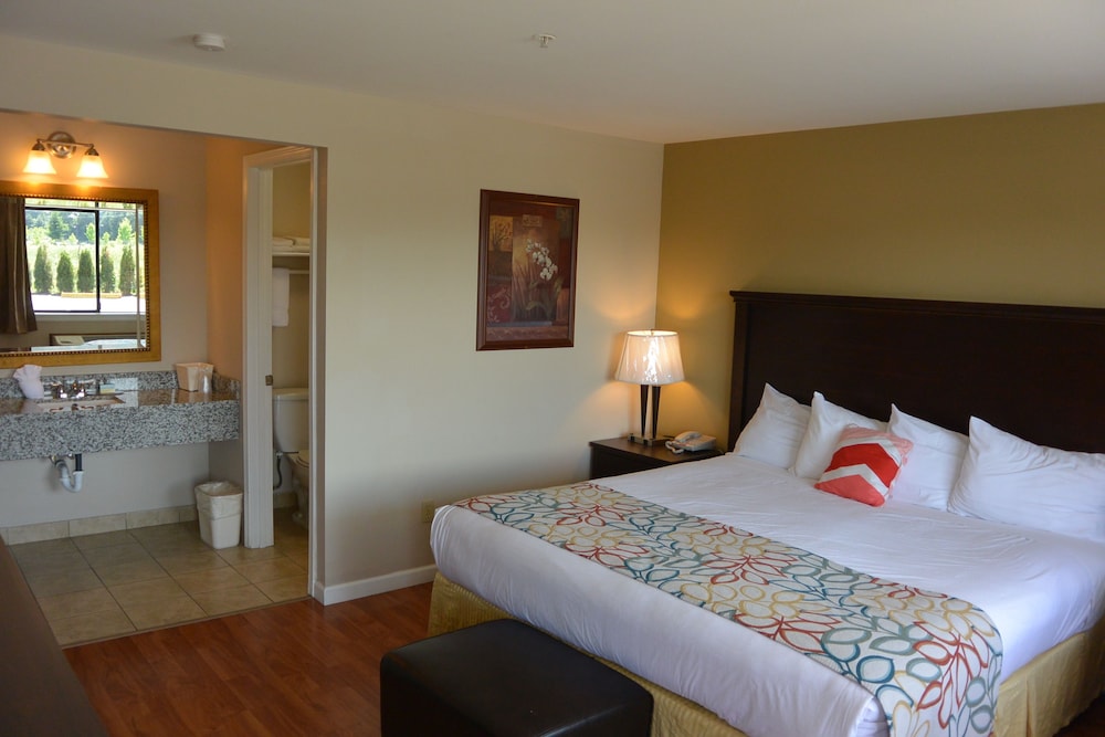 Room, 1 King Bed, Non Smoking photo 2