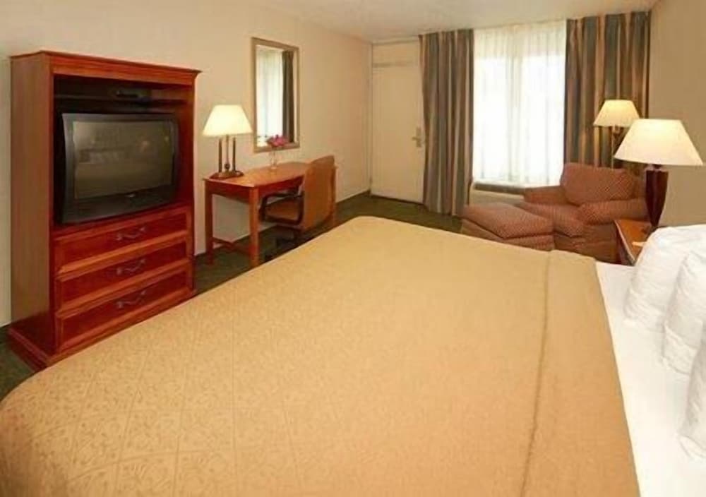 Standard Room, 1 King Bed, Smoking - Photo 6