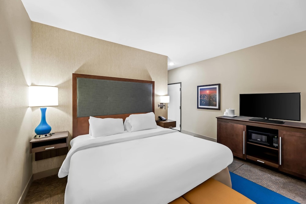 Standard Room, 1 King Bed, Non Smoking photo 3