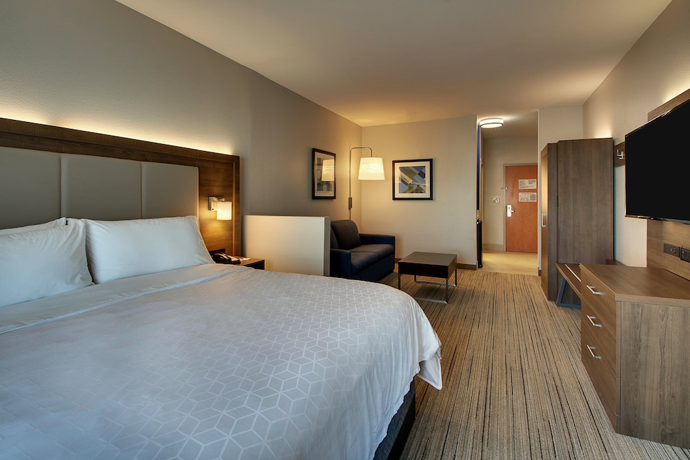 Suite, 1 King Bed with Sofa bed