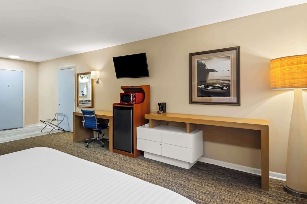 Standard Room, 1 King Bed, Non Smoking