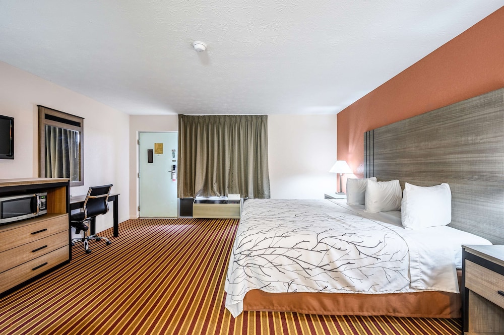 Suite, 1 King Bed, Smoking (Whirlpool) - Photo 4