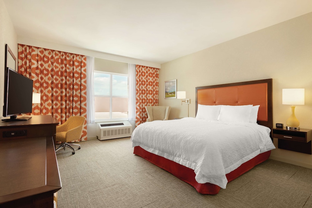 Room, 1 King Bed, Accessible, Bathtub (Mobility & Hearing)