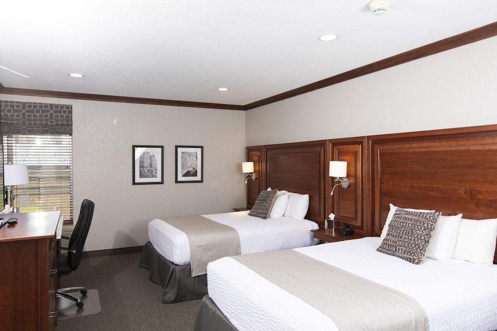 Executive Double Room, 2 Queen Beds photo 3