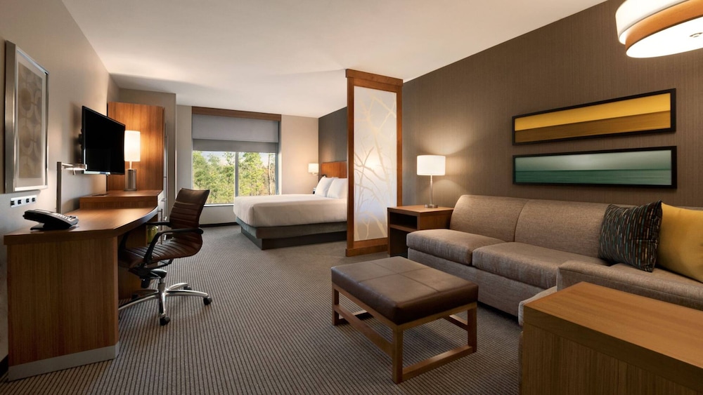Room, 1 Queen Bed with Sofa bed, Accessible, Bathtub photo 1