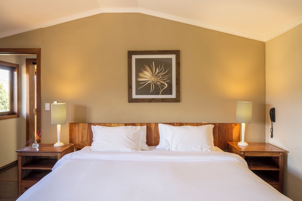 Superior Suite, Mountain View photo 2