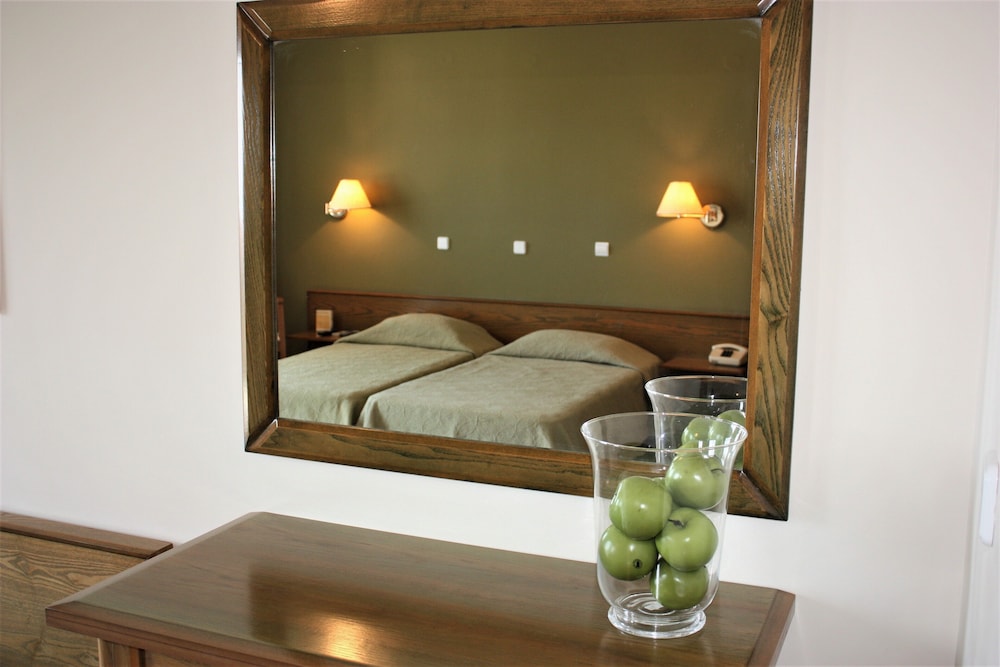 Standard Double or Twin Room photo 2