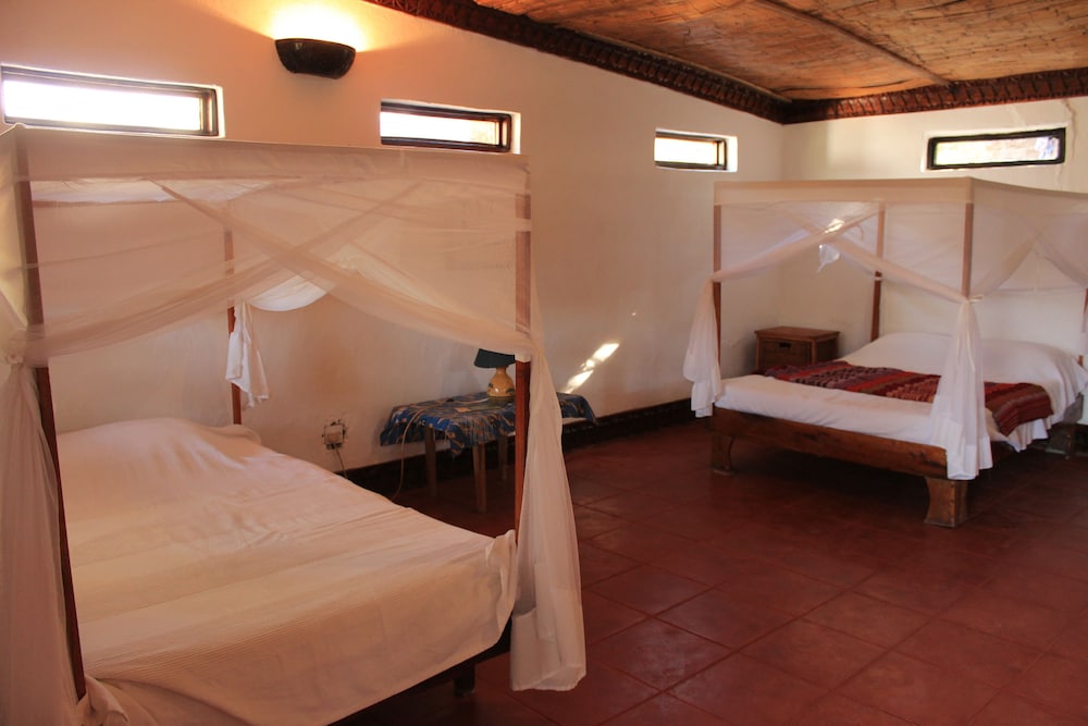Economy Room, Multiple Beds, Garden View photo 2