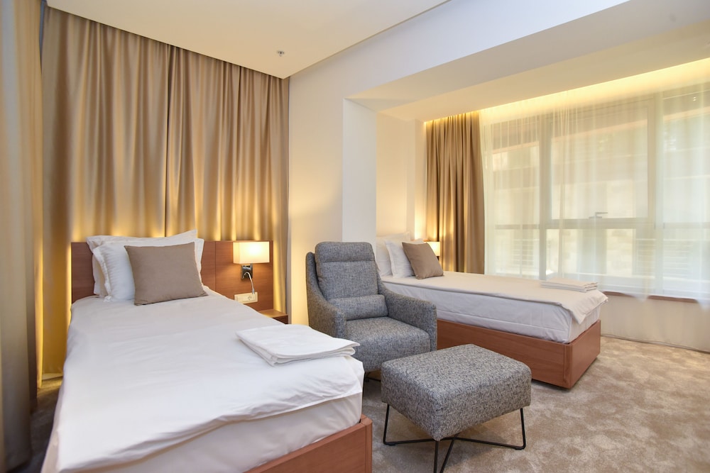 Deluxe Twin Room, 2 Twin Beds, Accessible, Non Smoking photo 1